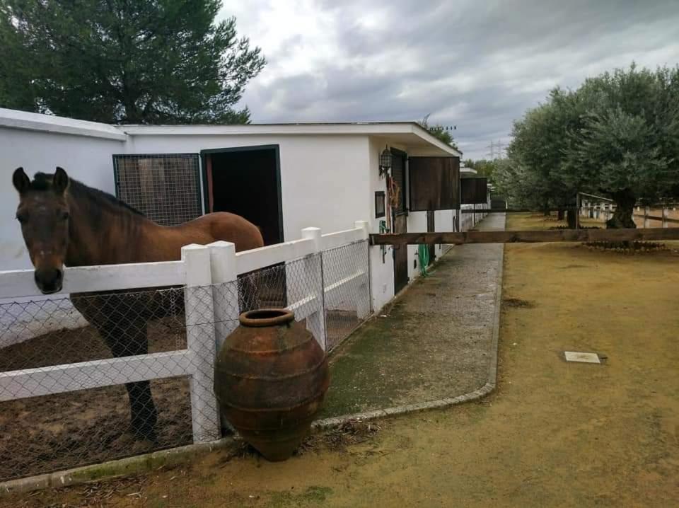 Finca Rural La Canera 16 Huespedes Sevilla Exteriör bild